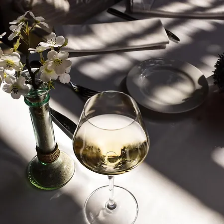 Pirineos By Pierre & ホテル